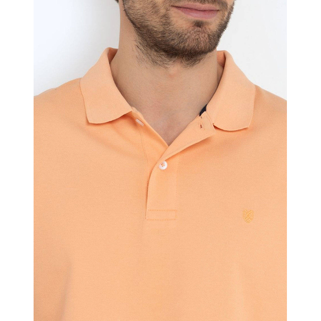 Product THE BOSTONIANS ΜΠΛΟΥΖΑ POLO PIQUE REGULAR FIT base image