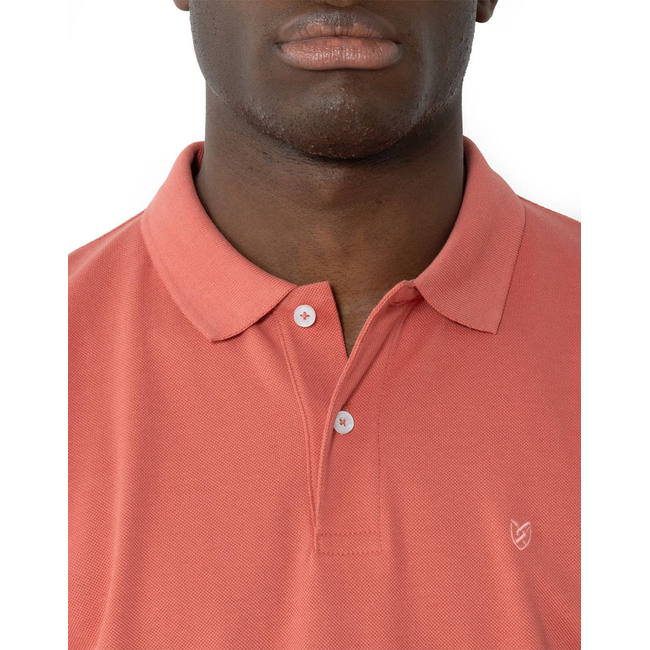 Product THE BOSTONIANS ΜΠΛΟΥΖΑ POLO PIQUE REGULAR FIT base image