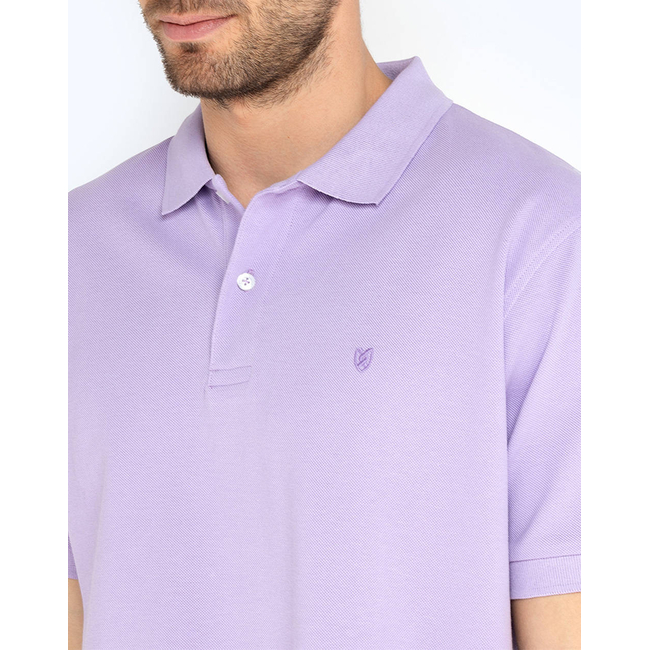 Product THE BOSTONIANS POLO PIQUE REGULAR FIT base image