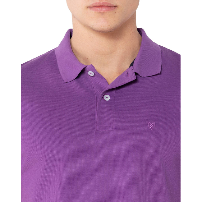 Product THE BOSTONIANS ΜΠΛΟΥΖΑ POLO PIQUE REGULAR FIT base image