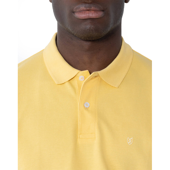 Product THE BOSTONIANS ΜΠΛΟΥΖΑ POLO PIQUE REGULAR FIT base image