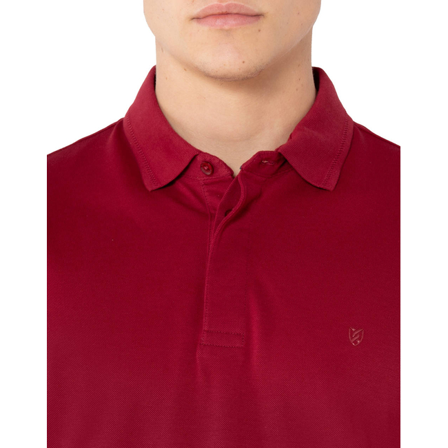 Product THE BOSTONIANS POLO SHIRT PIQUE PIMA COTTON REGULAR base image