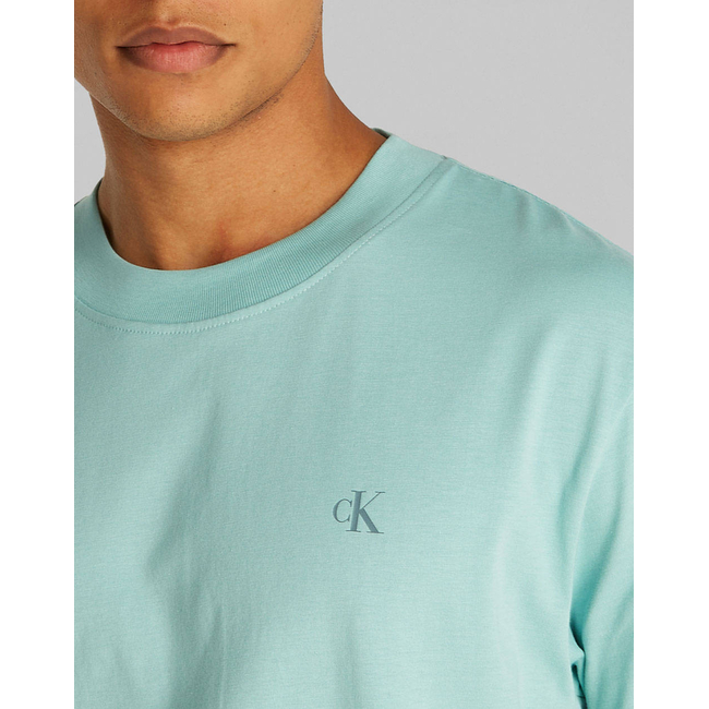 Product CALVIN KLEIN JEANS PAINTED CALVIN KLEIN JEANS TEE base image