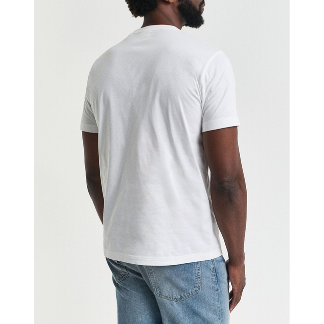 Product GANT ΜΠΛΟΥΖΑ ΚΜ PRINTED GRAPHIC SS T-SHIRT base image