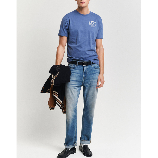 Product GANT ΜΠΛΟΥΖΑ ΚΜ SEASONAL GRAPHIC T-SHIRT base image