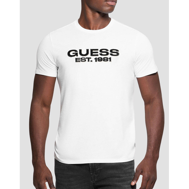 Product GUESS SS BSC VELVET LOGO TEE ΜΠΛΟΥΖΑ ΑΝΔΡΙΚΟ base image