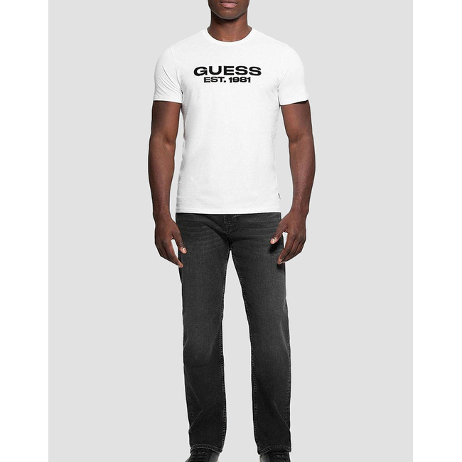 Product GUESS SS BSC VELVET LOGO TEE ΜΠΛΟΥΖΑ ΑΝΔΡΙΚΟ base image