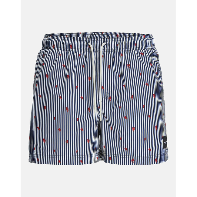 Product JACK&JONES JPSTMAUI JJSWIM MINI STRIPE AKM SN base image