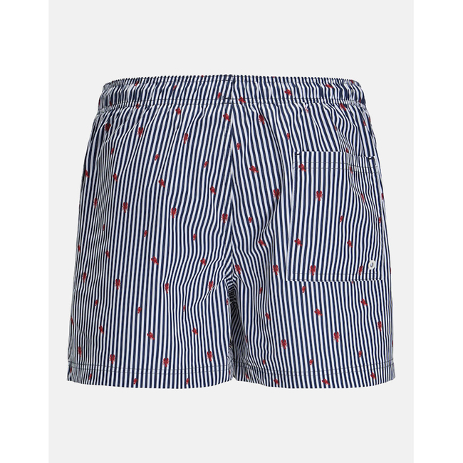 Product JACK&JONES JPSTMAUI JJSWIM MINI STRIPE AKM SN base image