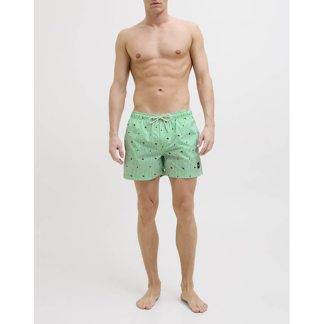 Product JACK&JONES JPSTMAUI JJSWIM MINI STRIPE AKM SN base image