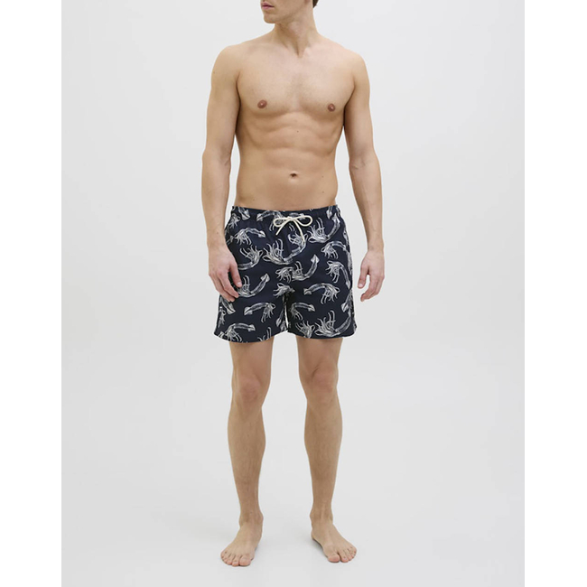 Product JACK&JONES JPSTMAUI JJSWIM MATURE AOP AKM SN base image