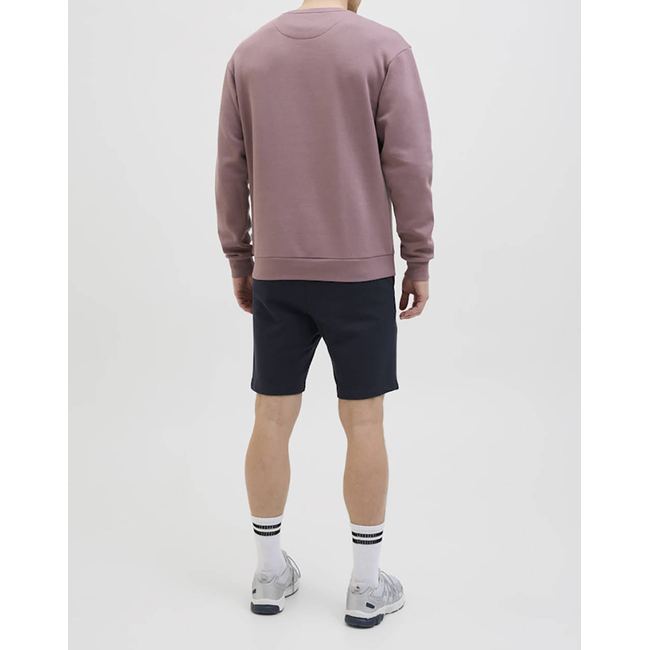 Product JACK&JONES JPSTGORDON BEAU SWEAT SHORTS MID base image