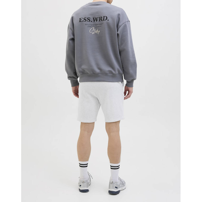 Product JACK&JONES JPSTGORDON BEAU SWEAT SHORTS MID base image