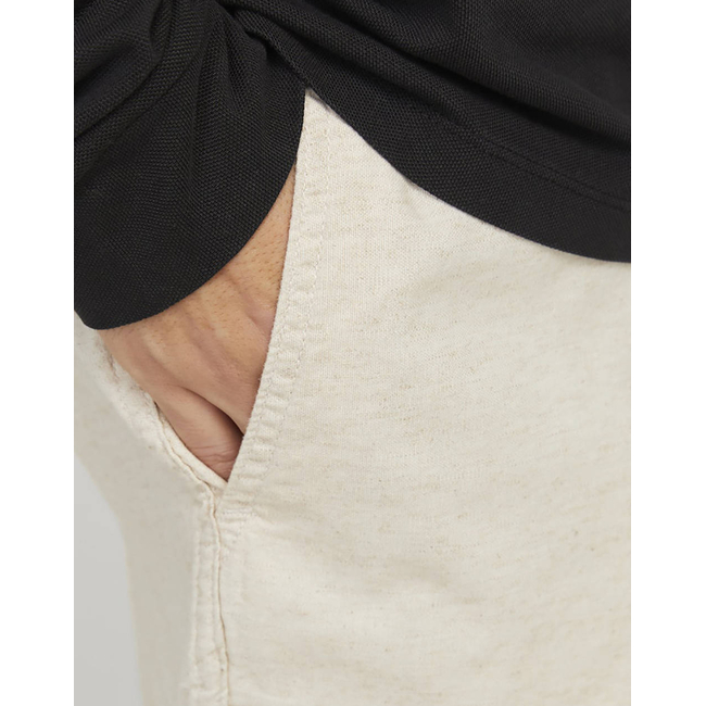 Product JACK&JONES JPSTJAIDEN CAMPAIGN HYBRIDBONDISHORT SRT base image