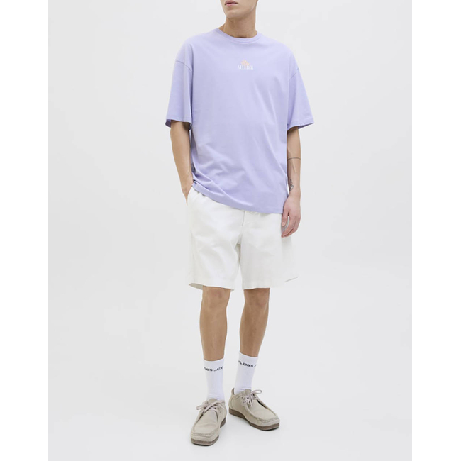 Product JACK&JONES JPSTJAIDEN CAMPAIGN HYBRIDBONDISHORT SRT base image