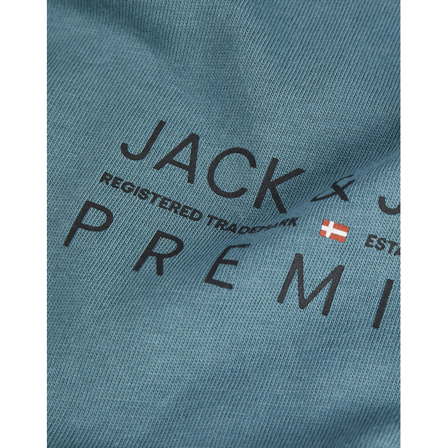 Product JACK&JONES JPRBLUATLAS SS TEE base image
