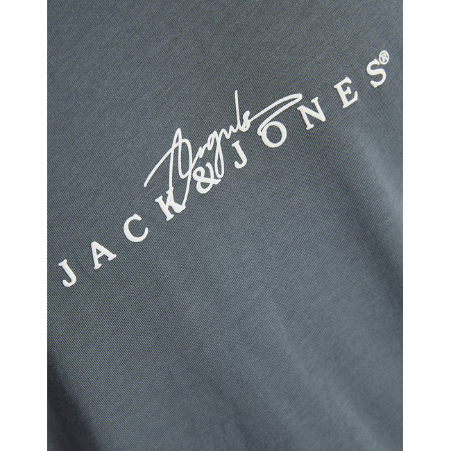 Product JACK&JONES JORVARENNA BRANDING TEE SS CREW NECK base image