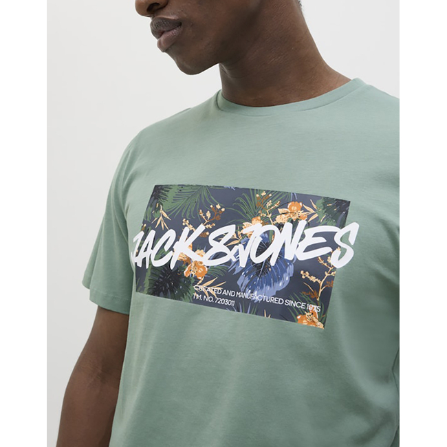 Product JACK&JONES JJHAWAII SHAPE TEE SS CREW NECK LN base image