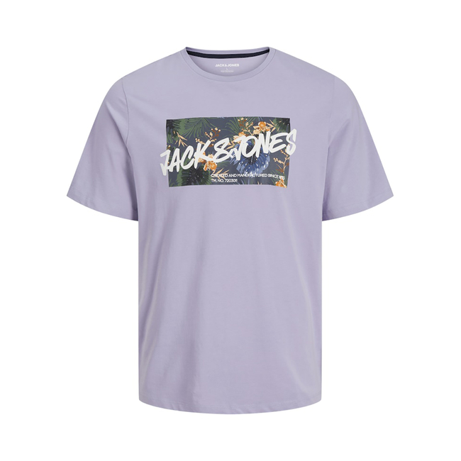 Product JACK&JONES JJHAWAII SHAPE TEE SS CREW NECK LN base image