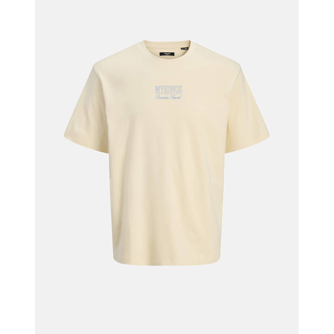 Product JACK&JONES JPRBLADESTINATION SS TEE base image