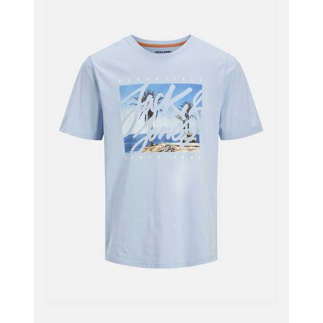 Product JACK&JONES JJCOLTON PHOTOPRINT TEE SS CREW NECK base image