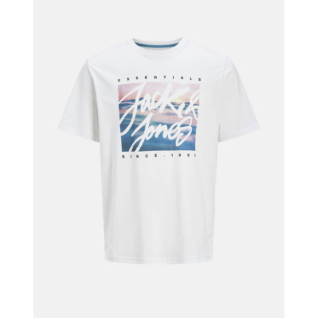 Product JACK&JONES JJCOLTON PHOTOPRINT TEE SS CREW NECK base image
