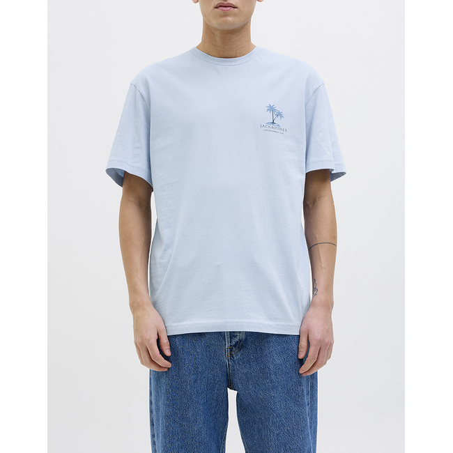 Product JACK&JONES JJSUMMER VIBES TEE SS CREW NECK LN base image