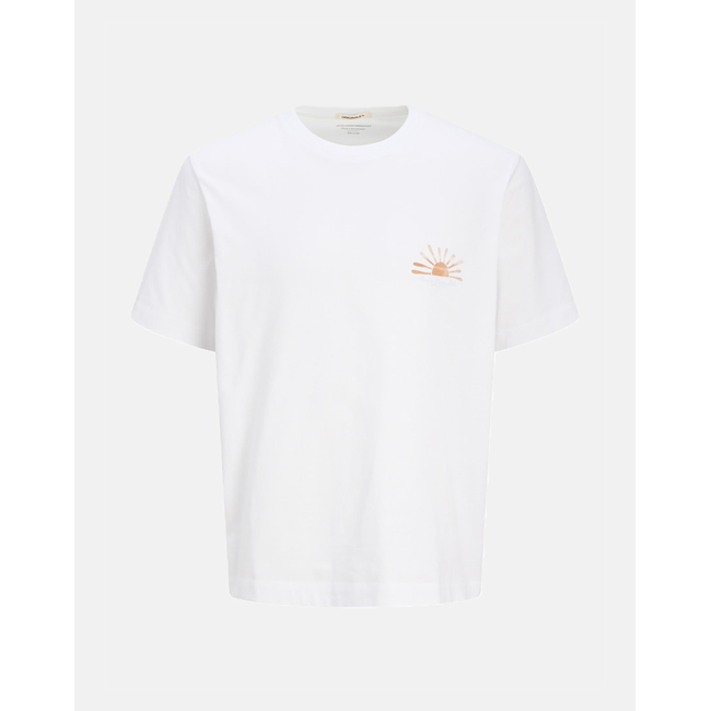 Product JACK&JONES JORCANGGU SUMMER PICTURE TEE SS CN base image