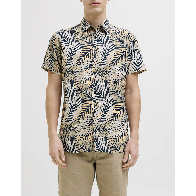 Product JJREBEL JREBVERDANT POPLIN SHIRT SS base image