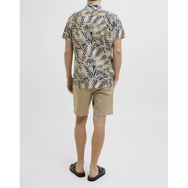 Product JJREBEL JREBVERDANT POPLIN SHIRT SS base image