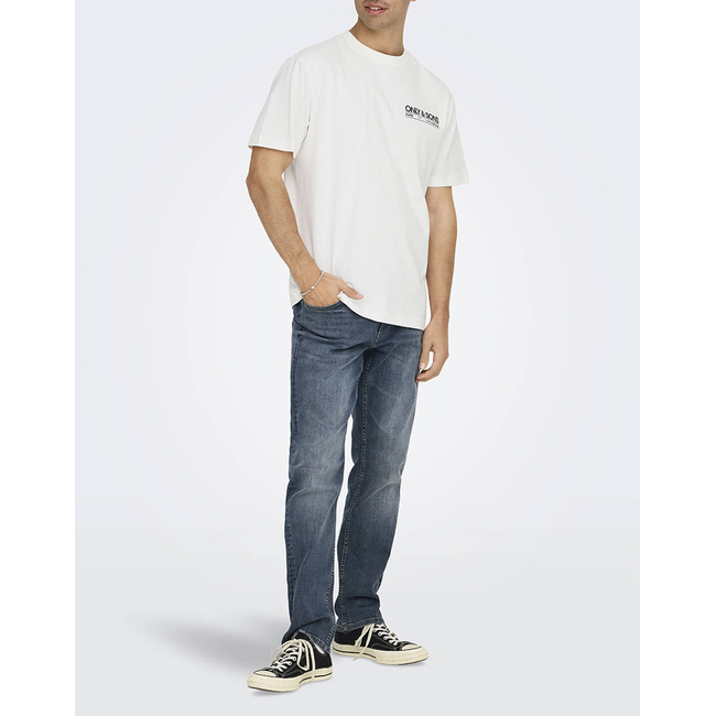Product ONLY&SONS ONSKAZBAH PRINT RLX SS TEE base image