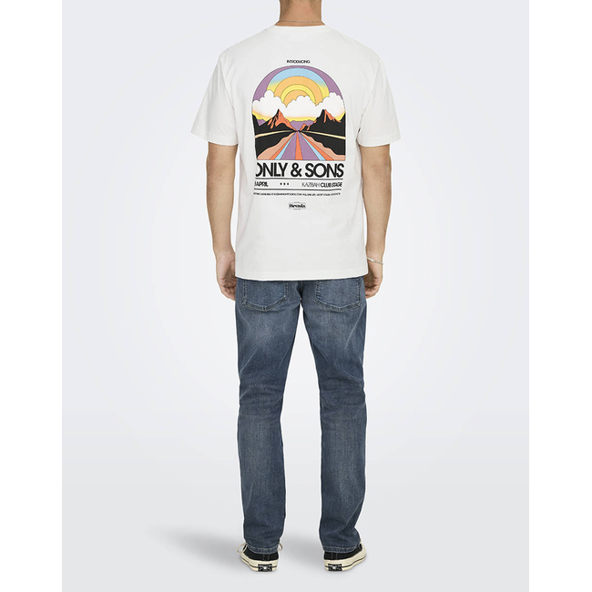 Product ONLY&SONS ONSKAZBAH PRINT RLX SS TEE base image