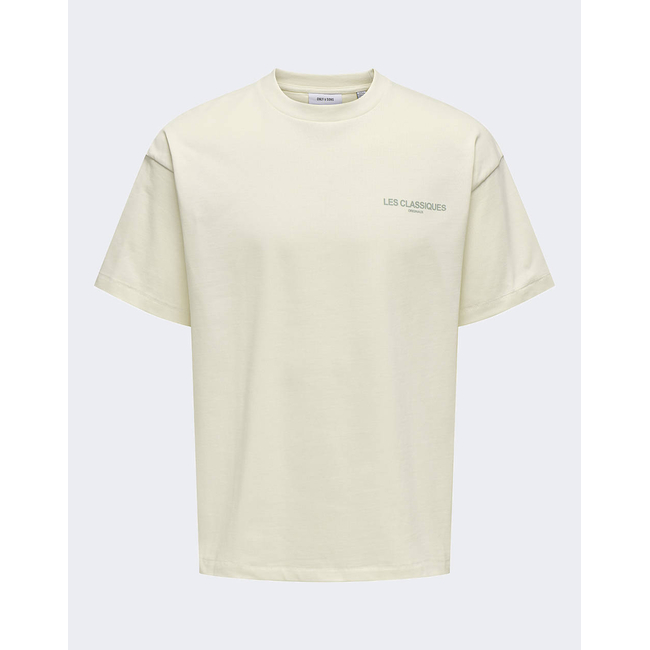 Product ONLY&SONS ONSLES CLASSIQUES LOOSE PRINT SS TEE base image