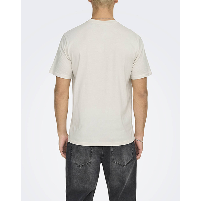 Product ONLY&SONS ONSDAWSON REG SS TEE VD base image