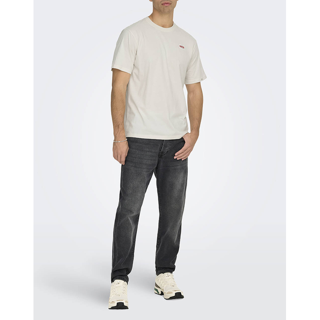 Product ONLY&SONS ONSDAWSON REG SS TEE VD base image