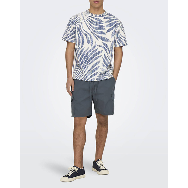 Product ONLY&SONS ONSZEKE LIFE REG WASHED SS AOP TEE base image