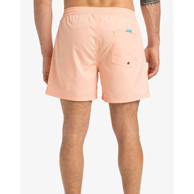 Product QUIKSILVER EVERYDAY SOLID VOLLEY 15 ΜΑΓΙΟ ΑΝΔΡΙΚΟ base image