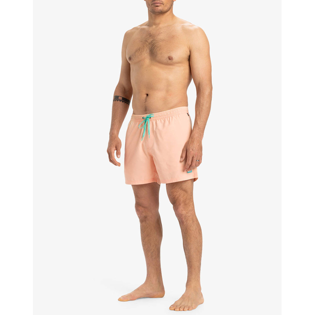 Product QUIKSILVER EVERYDAY SOLID VOLLEY 15 ΜΑΓΙΟ ΑΝΔΡΙΚΟ base image