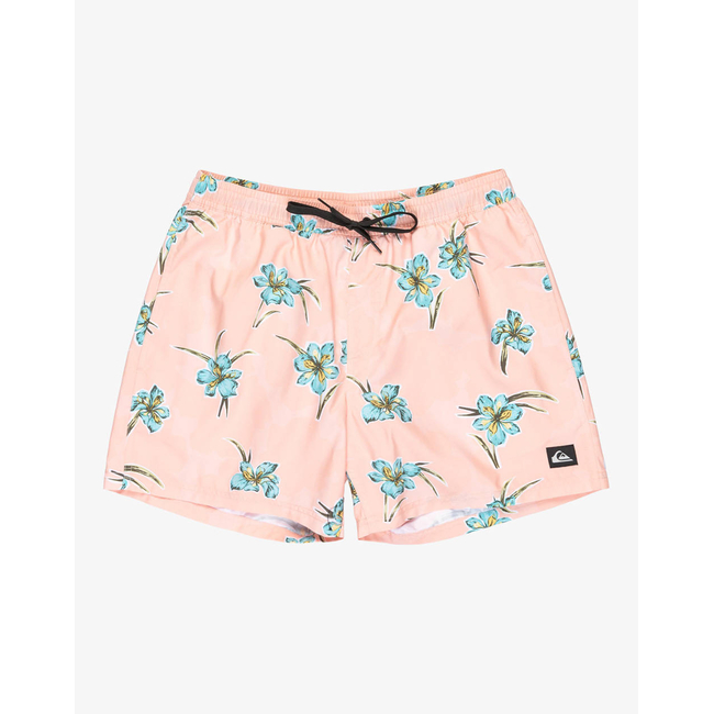 Product QUIKSILVER EVERYDAY STRAIGHT VOLLEY 15 ΜΑΓΙΟ ΑΝΔΡΙΚΟ base image