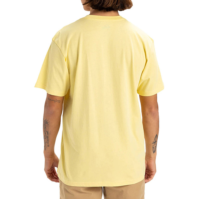 Product QUIKSILVER FINELINE SS T-SHIRT MEN base image