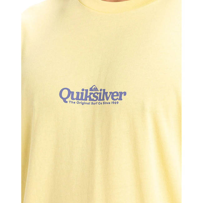 Product QUIKSILVER FINELINE SS T-SHIRT MEN base image