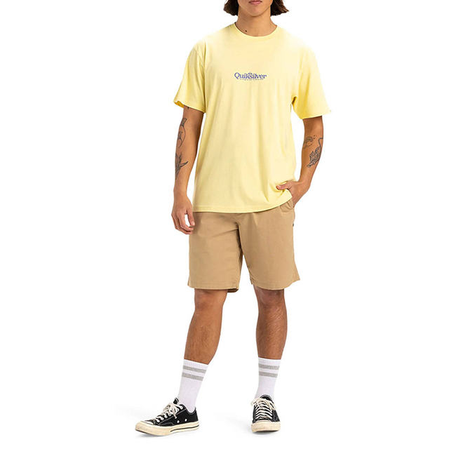 Product QUIKSILVER FINELINE SS T-SHIRT MEN base image