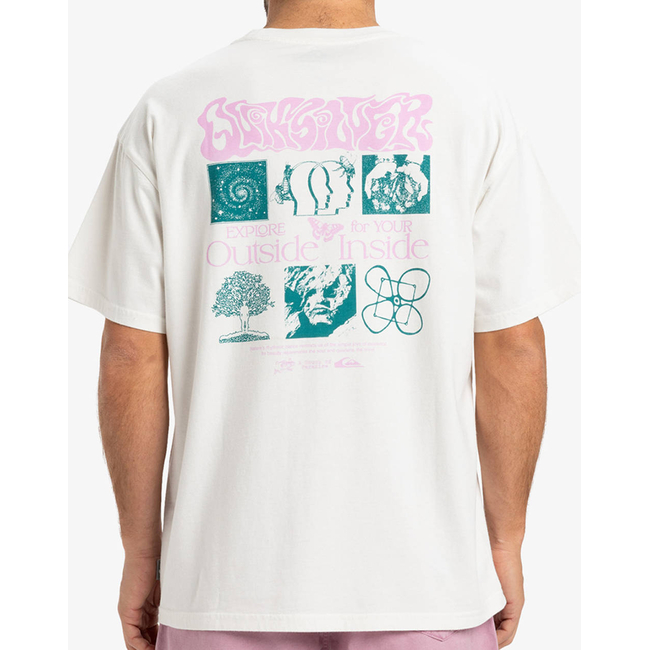 Product QUIKSILVER HW OUTSIDE INSIDE SS T-SHIRT MEN base image