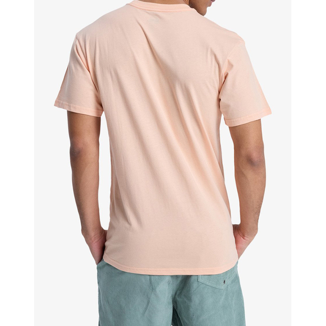 Product QUIKSILVER EV COMP LOGO SS T-SHIRT MEN base image