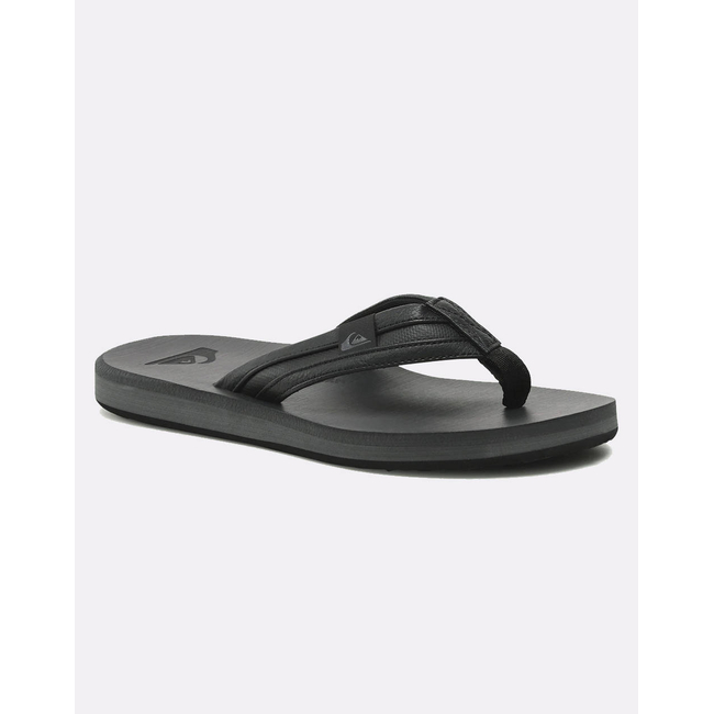 Product QUIKSILVER CARVER SQUISH MEN'S SHOES base image