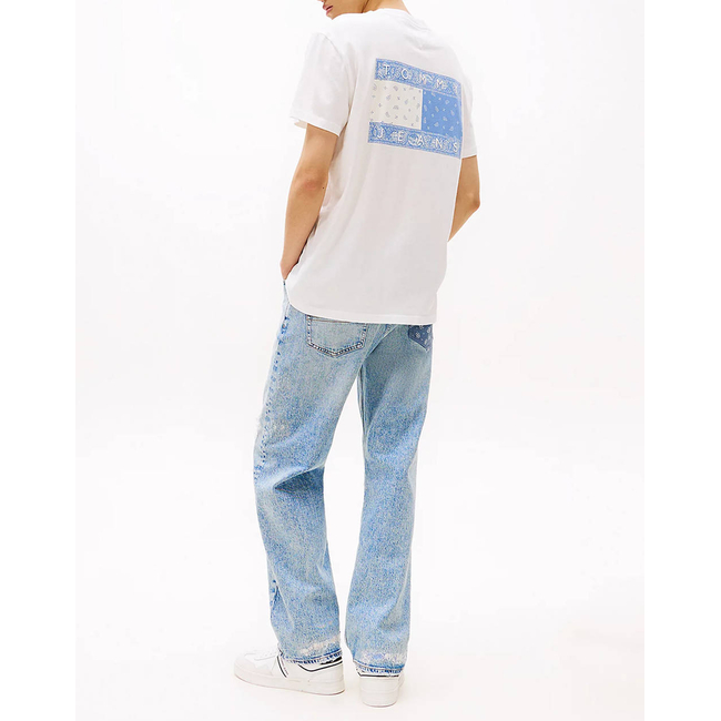Product TOMMY JEANS TJM REG PAISLEY FLAG TEE EXT base image