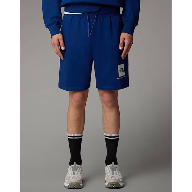Product THE NORTH FACE M BOX NSE REGULAR SHORT base image