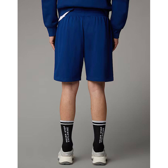 Product THE NORTH FACE M BOX NSE REGULAR SHORT base image
