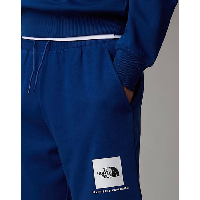 Product THE NORTH FACE M BOX NSE REGULAR SHORT base image