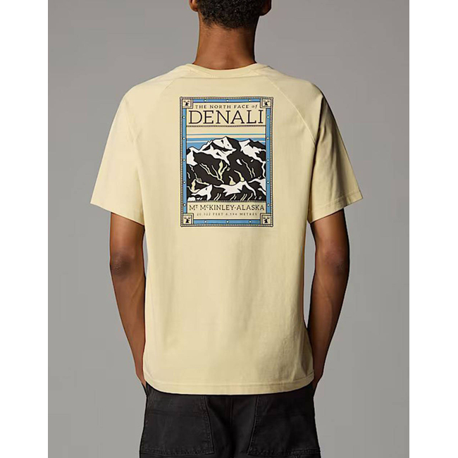 Product THE NORTH FACE M SS NORTH FACES TEE base image